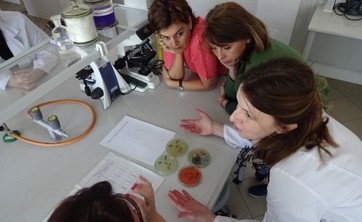 The Academics from the University of Oradea