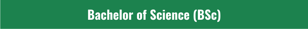 bsc.png