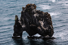 Hvitserkur