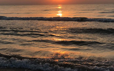 Maciej Pokorski, Portugalia 2016/17