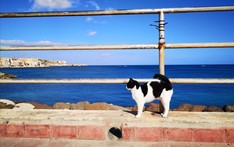 Michał Rogala, Włochy 2019/20