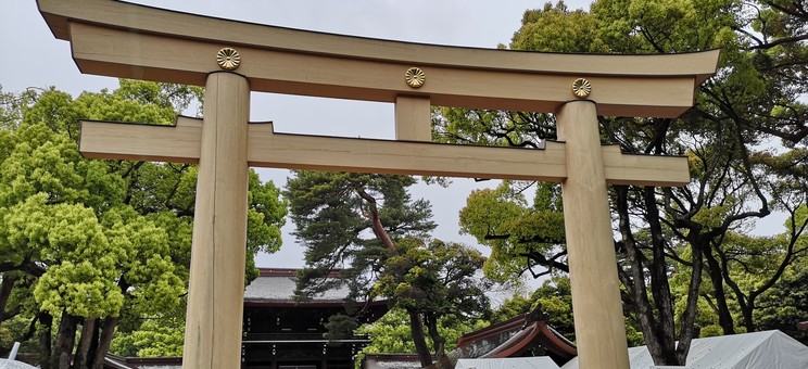 Torii – brama prowadząca do świątyni Meiji Jingu, Tokio