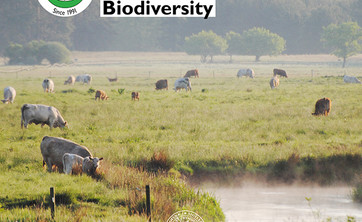 BUP Student Conference 2026_Lund University (Sweden)