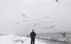 Angelika Kulig, Łotwa 2016/17