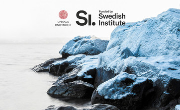 BUP ogłasza nabór na zimową szkołę „CoMaDe Science on the Island”