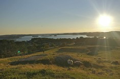 Letni widok na zatokę z Jernaldergrden