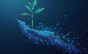 European Universities Competition on Artificial Intelligence to Promote Sustainable Development and Address Climate Change